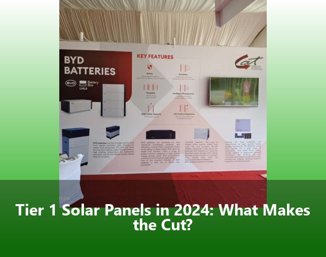 Tier 1 Solar Panels in 2024: What Makes the Cut?